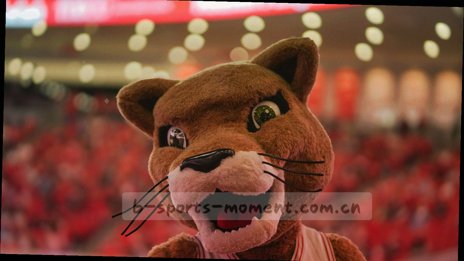 球场俯拍视角与手机赛事界面叠合，比分数字和首发阵容入口同屏可见